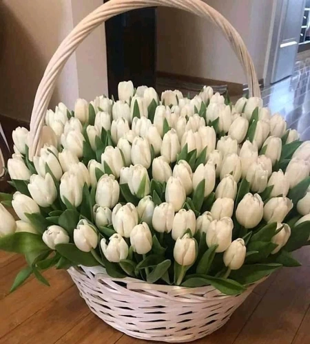 White Tulips in a Flower Basket