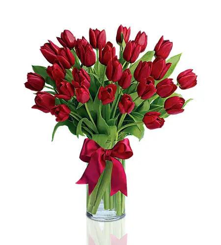 Radiant Red Tulip Vase Arrangement