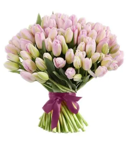 Blushing Beauty Pink Tulip Bouquet