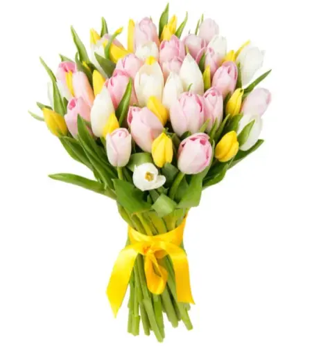 Springtime Radiance Mixed Tulip Bouquet