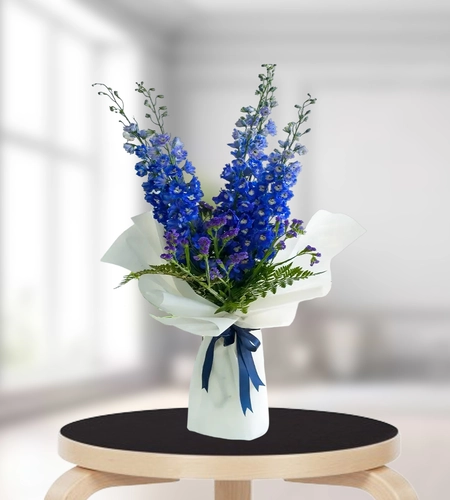 Serene Blue Delphinium