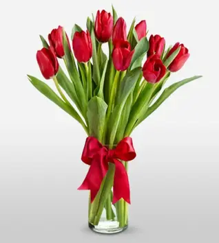 Charming Red Tulip V...